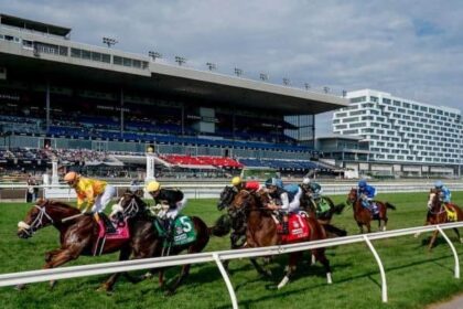 Argos, Caitlinhergrtness wins undercard stakes