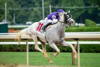 Arthur's ride will be retired and sold as a stallion prospect