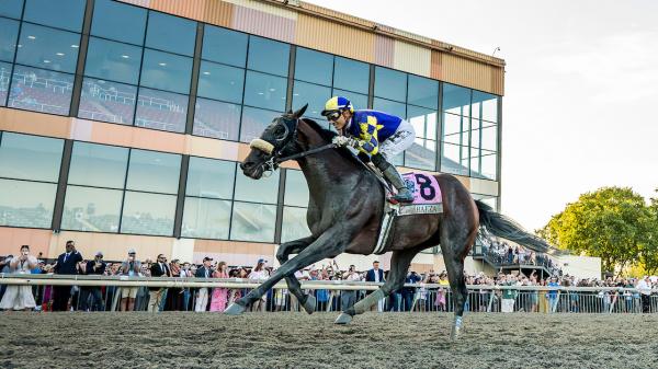 Baeza rises behind sovereignty in the Breeders' Cup power rankings