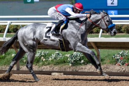 Blunt looks like a veteran pro with Del Mar's future victory second start