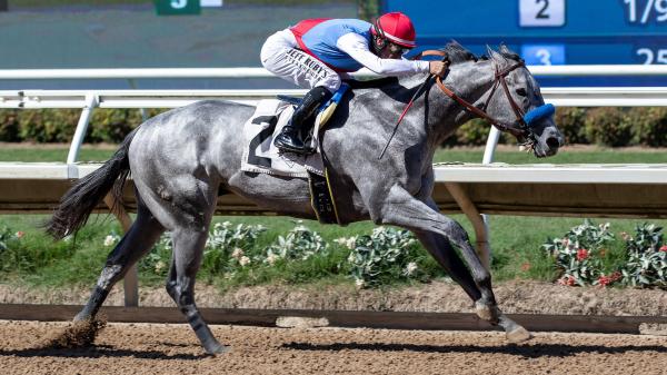 Blunt looks like a veteran pro with Del Mar's future victory second start