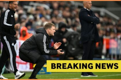 Newcastle was criticised for the summer signing, saying players "no worth it" the money they paid