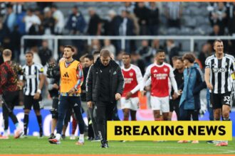 Newcastle was labelled "idiot" to complete the summer transfer