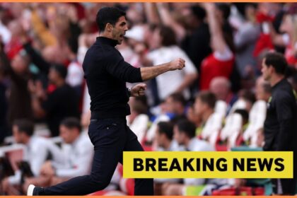 Mikel Arteta celebrates during Arsenal