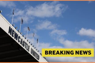 Report: Key Newcastle Star Returns to Training Prior to Return from Injury