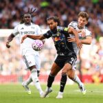 Michael Dawson advances Leeds after Fulham's match