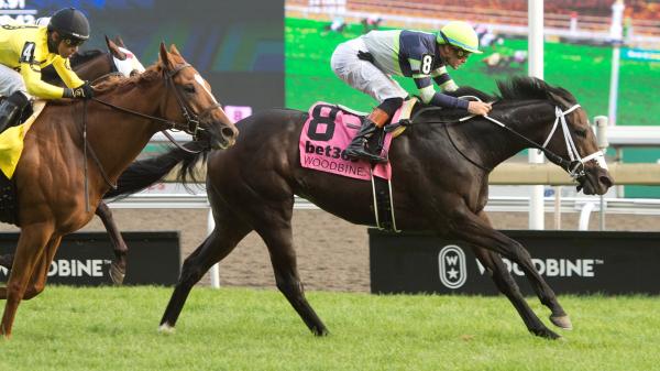 Can I post upset on the Woodbine Mile?