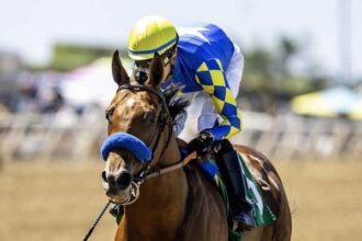 Citizen Bull only faces two rivals and gains shared beliefs