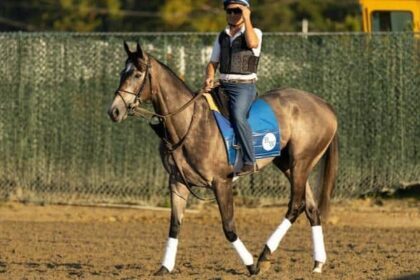 Clicquot will lead a 3-race winning streak into a tough test