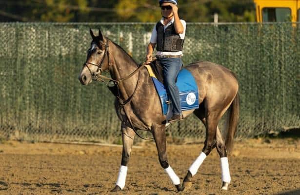 Clicquot will lead a 3-race winning streak into a tough test