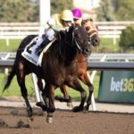 Daily Top 10 and Fastest Maiden Winners