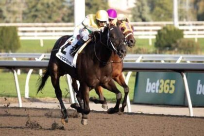 Daily Top 10 and Fastest Maiden Winners