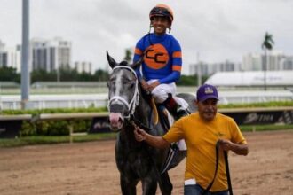 Daily Top 10 plus the fastest maiden winner