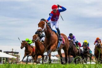 Epic Ride, Stellify, Plensa, Shisospicy Win Stakes