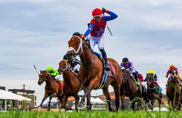 Epic Ride, Stellify, Plensa, Shisospicy Win Stakes