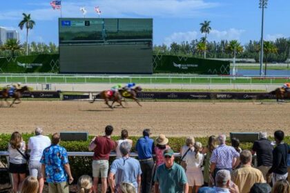 Expert selection for Gulfstream and Santa Anita for Saturday's Sunset Pick 6