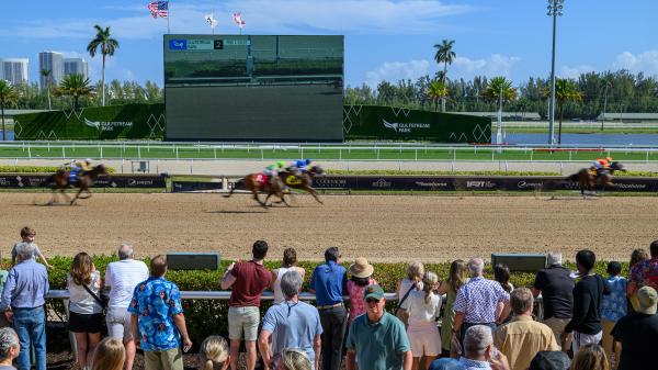 Expert selection for Gulfstream and Santa Anita for Saturday's Sunset Pick 6