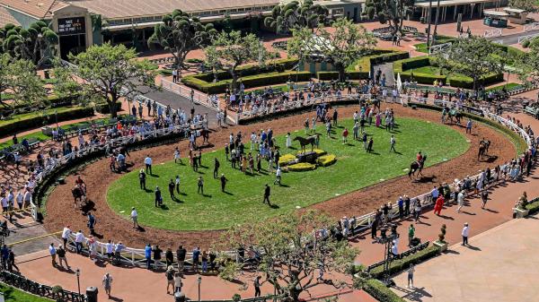 Find value with long shots at the 2025 Goodwood Stakes