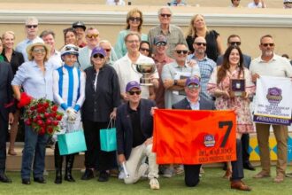 Gold Phoenix, the Breeders' Cup turf candidate, is a true "joy" for his owner