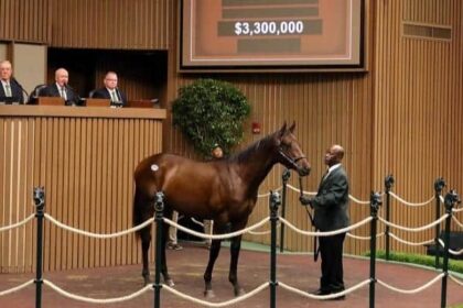 Gun Runner Colt is on sale for $3.3 million