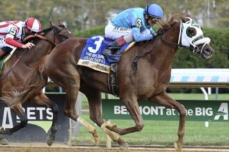 Gun Song is a victory in the Beldam Stakes