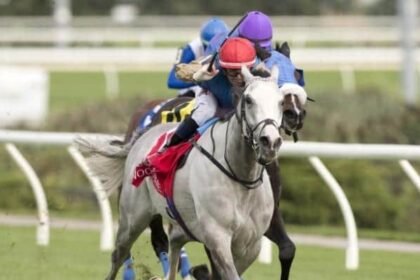 Haunted Dream wins North American debut with Singspiel