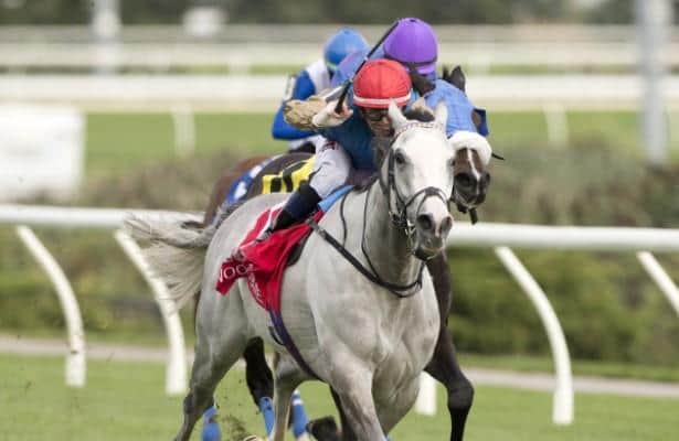 Haunted Dream wins North American debut with Singspiel
