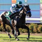 Hey Nay Nay is 3-3 after winning Del Mar Juven Turf.