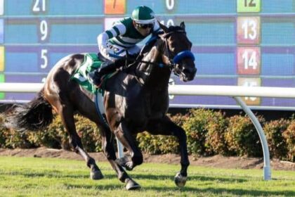 Hey Nay Nay is 3-3 after winning Del Mar Juven Turf.