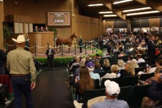High Rolling Horse: Keeneland Annual Sales vs. Other Big Ticket Items