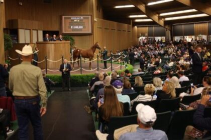 High Rolling Horse: Keeneland Annual Sales vs. Other Big Ticket Items