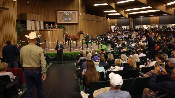 High Rolling Horse: Keeneland Annual Sales vs. Other Big Ticket Items
