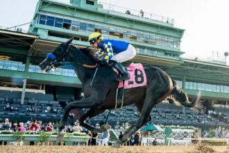 Imagination, Cavalieri wins the Breeders' Cup berth with an impressive victory at Santa Anita