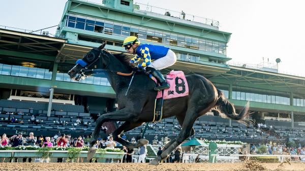 Imagination, Cavalieri wins the Breeders' Cup berth with an impressive victory at Santa Anita