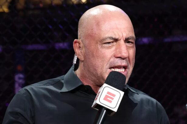 Joe Rogan UFC commentator