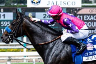 Johannes repeats in the city of hope