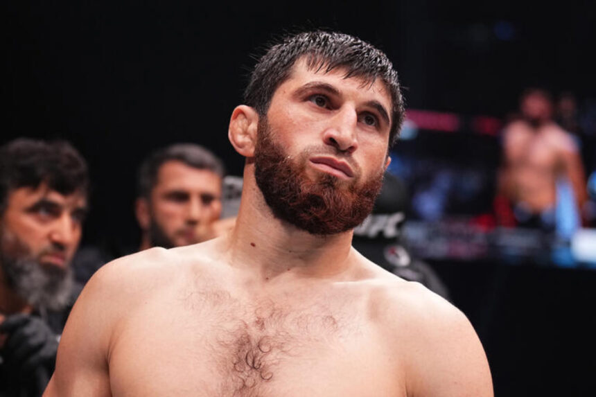 Magomed Ankalaev