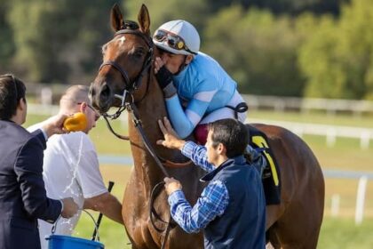 Mayday Lady aims to fire with winter memories