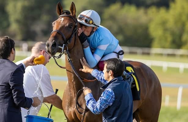 Mayday Lady aims to fire with winter memories