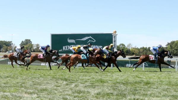 Mercante has gained a slight advantage in the competitive Kentucky Turf Cup