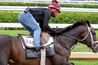 Mindframe, the Farricious Train for the Breeders Cup, Ted Noffey will race at Keeneland next