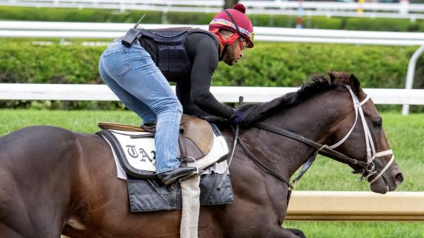 Mindframe, the Farricious Train for the Breeders Cup, Ted Noffey will race at Keeneland next