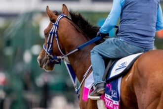 Mystik Dan Drills from Lukas Classic. 43 Others work too