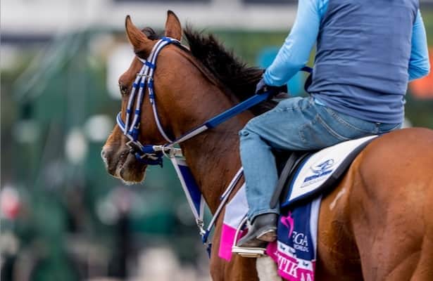 Mystik Dan Drills from Lukas Classic. 43 Others work too