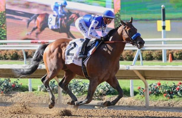NYSOS leads the Buffer Star at Santa Anita