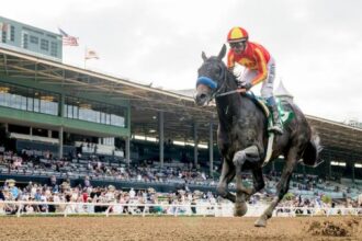 Nevada Beach will also win the Breeders' Cup Qualifying Winners in Goodwood