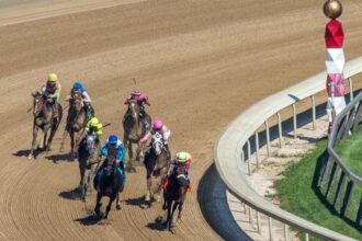 Noel's Weekend Winner: The Need for Speed ​​at Big A's Belmont