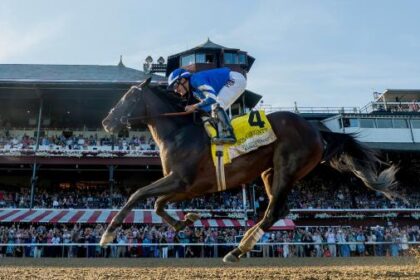 Ombudsman, the latest in sovereignty