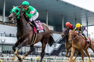 Patriot Spirit, Locked, Rebel Romance Wins New York Preparation Breeders Cup Birth
