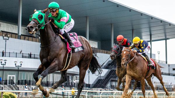 Patriot Spirit, Locked, Rebel Romance Wins New York Preparation Breeders Cup Birth